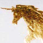 Decorazione in pastiglia e oro falso - Unicorno - cod#PL-A8